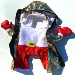 Gold and Red Boxing Costume for Pets Size Large